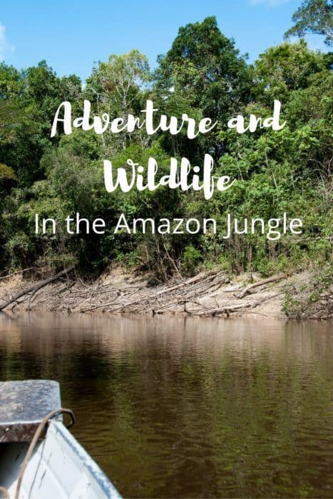 adventure-in-the-amazon-jungle