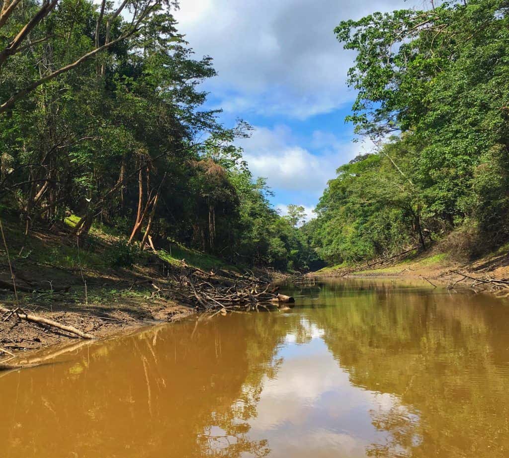 Adventure and Wildlife in the Amazon Jungle