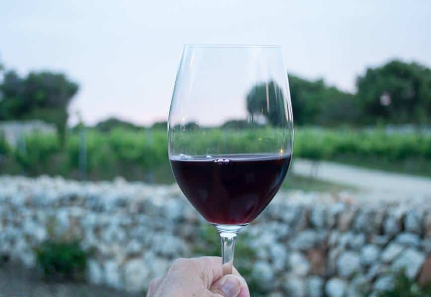 Binifadet winery Menorca