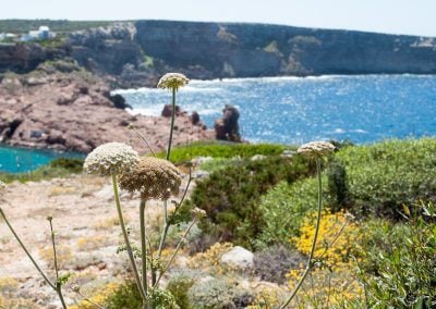 Things to do in Menorca, Spain – Part One