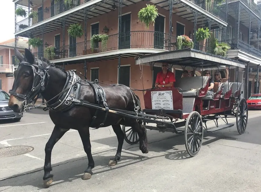 New Orleans Travel Guide & Tips