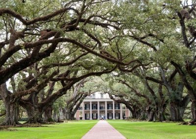 Two of the Best Day Trips from New Orleans