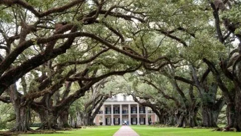 Two Day Trips from New Orleans you need to do