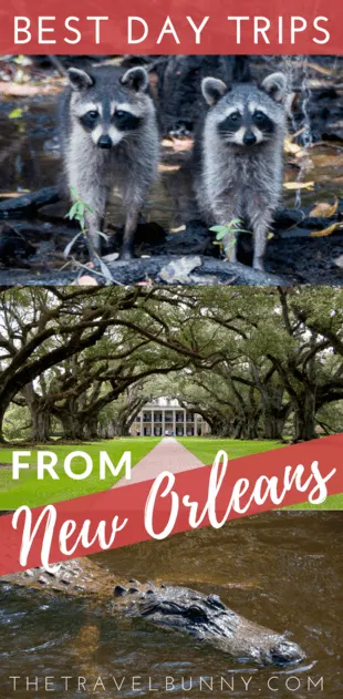 Two fabulous New Orleans day trips. Firstly, take a New Orleans plantation tour, offering history, romance and architecture before foraying into eco-territory with a Cajun swamp tour and wildlife spotting. You'll still be back in New Orleans with time to enjoy a night out in NOLA.