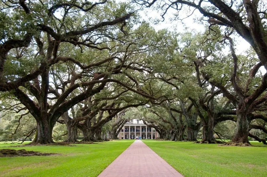 Oak Alley Plantation, New Orleans