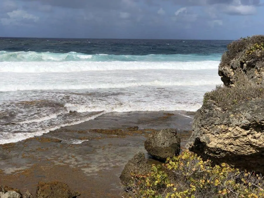 Soup-Bowl-Barbados-surf