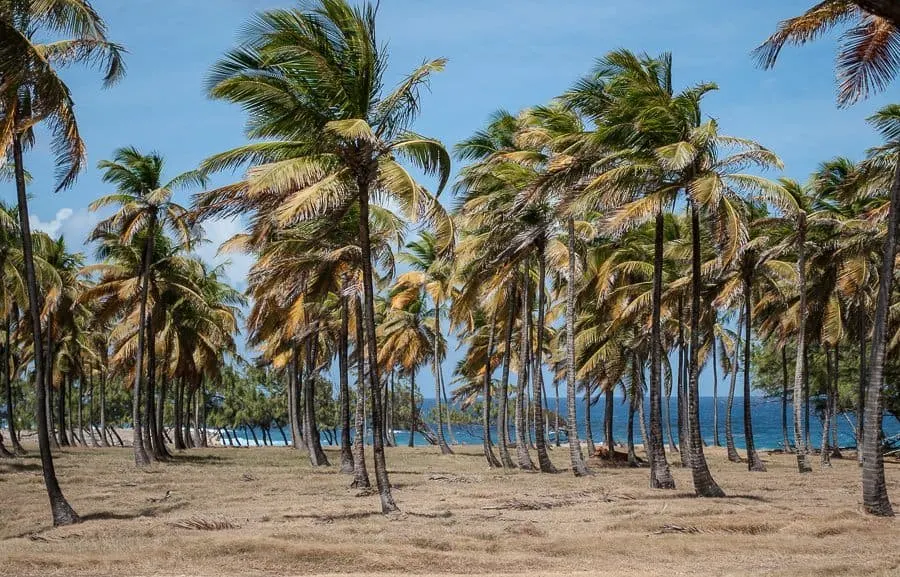 east-coast-barbados