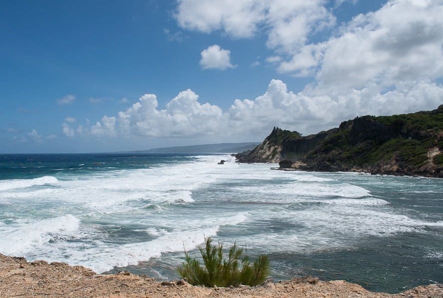 Cove-bay-barbados