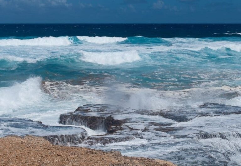east-coast-barbados