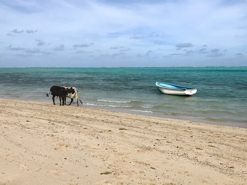 Rodrigues Island, Mauritius