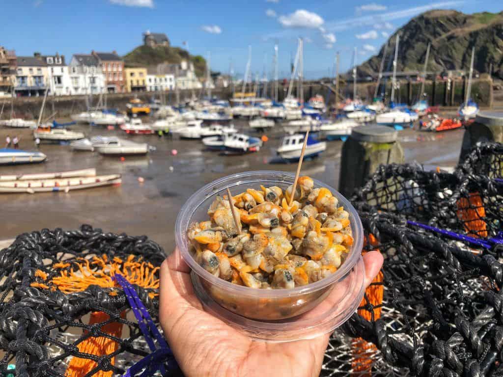 Cockles on the Quay at Ilfracombe