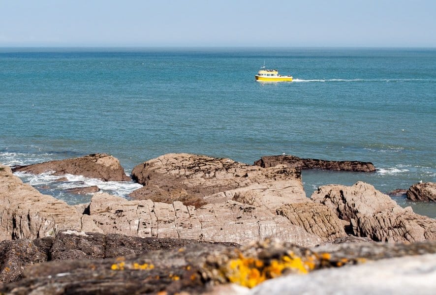 Ilfracombe Boat Trip