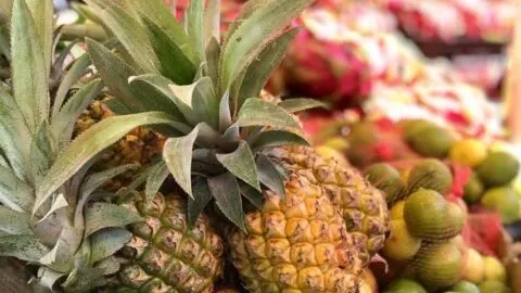 Pineapples Rodrigues Market