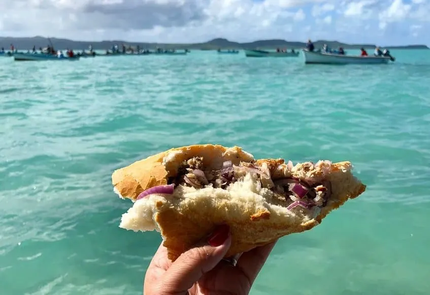 Fish Roll with onion