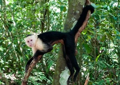 A Costa Rica Adventure