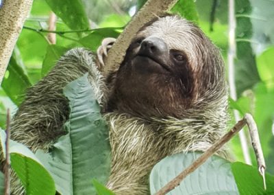 A Costa Rica adventure and a road trip