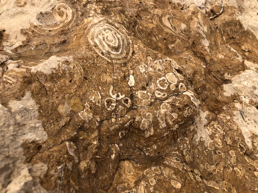 Fossil Rock, Sharjah