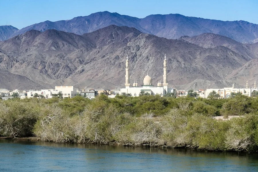 Al Qurm Nature Reserve, Sharjah