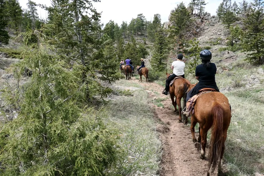 Colorado horse back riding