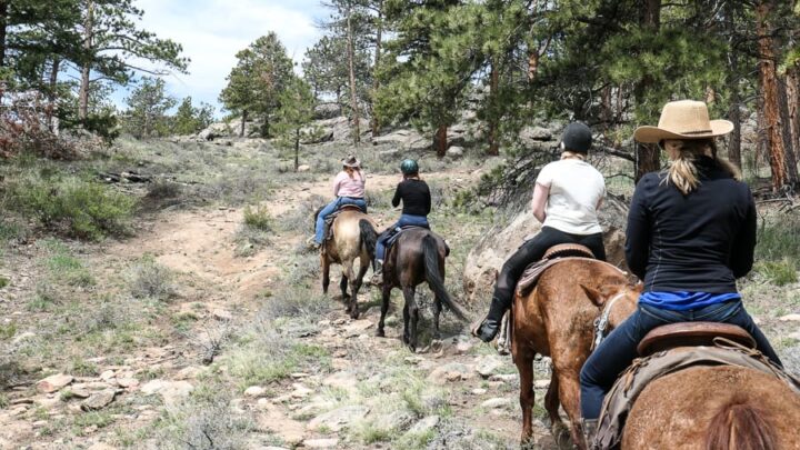 horse riding in Colorado