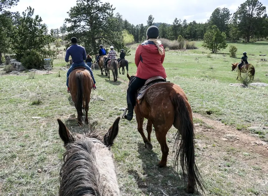 Horse back riding