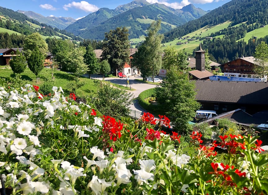 Alpbach Alpine valley with flowers in foreground