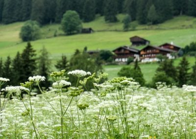 10 reasons to visit Alpbach in Summer
