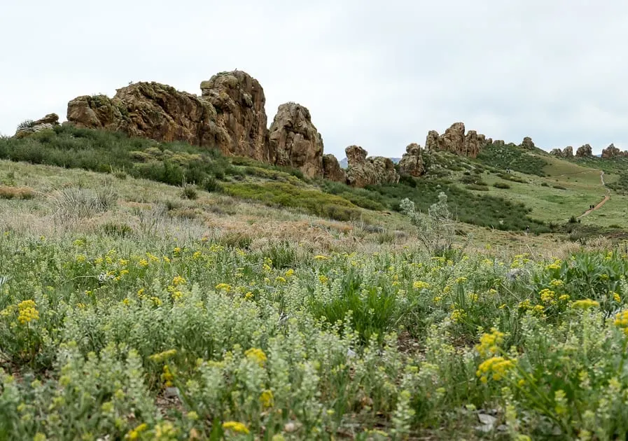 Devils Backbone rock outcrop Loveland