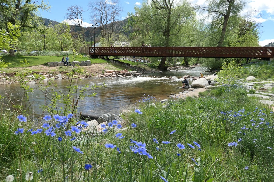 Boulder Creek with bridge and blue flowers in foreground