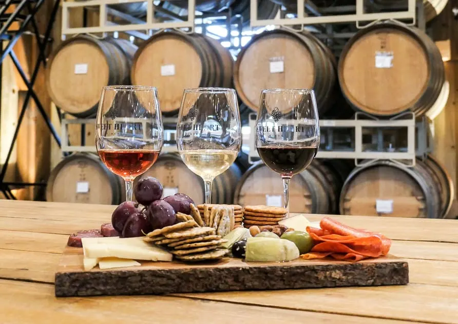 wine and charcuterie with barrels in background