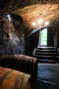 Wine cellar with barrels and open door