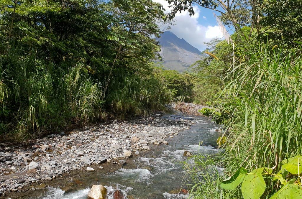 Cool things to do in Monteverde, Costa Rica