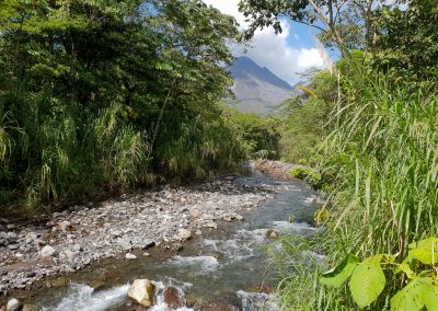 Cool things to do in Monteverde, Costa Rica
