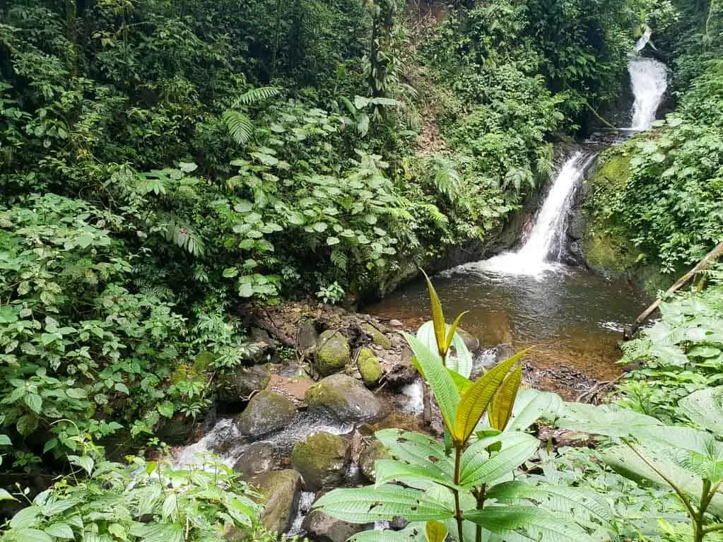 Waterfall in Monteverde Cloud Forest