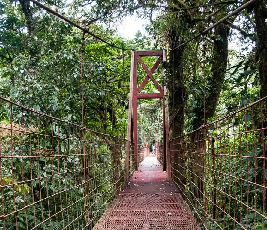 Hanging Bridge, Monteverde, Costa Rica