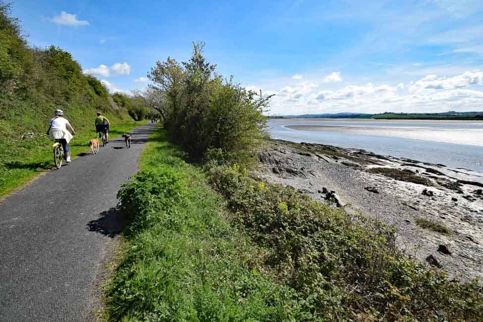 Tarka Cyclists and dogs on the Tarka Trail Devon with estuary to the right
