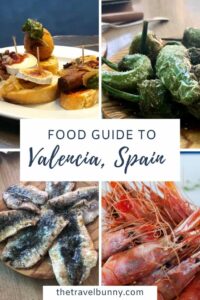 Valencia Food guide