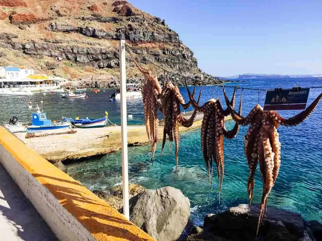 Осьминог в заливе Аммуди, Санторини