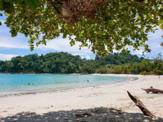 Top things to do in Manuel Antonio, Costa Rica