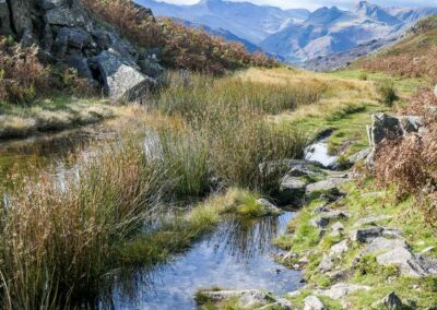 The UK National Parks – Map, Guide and Visiting Tips