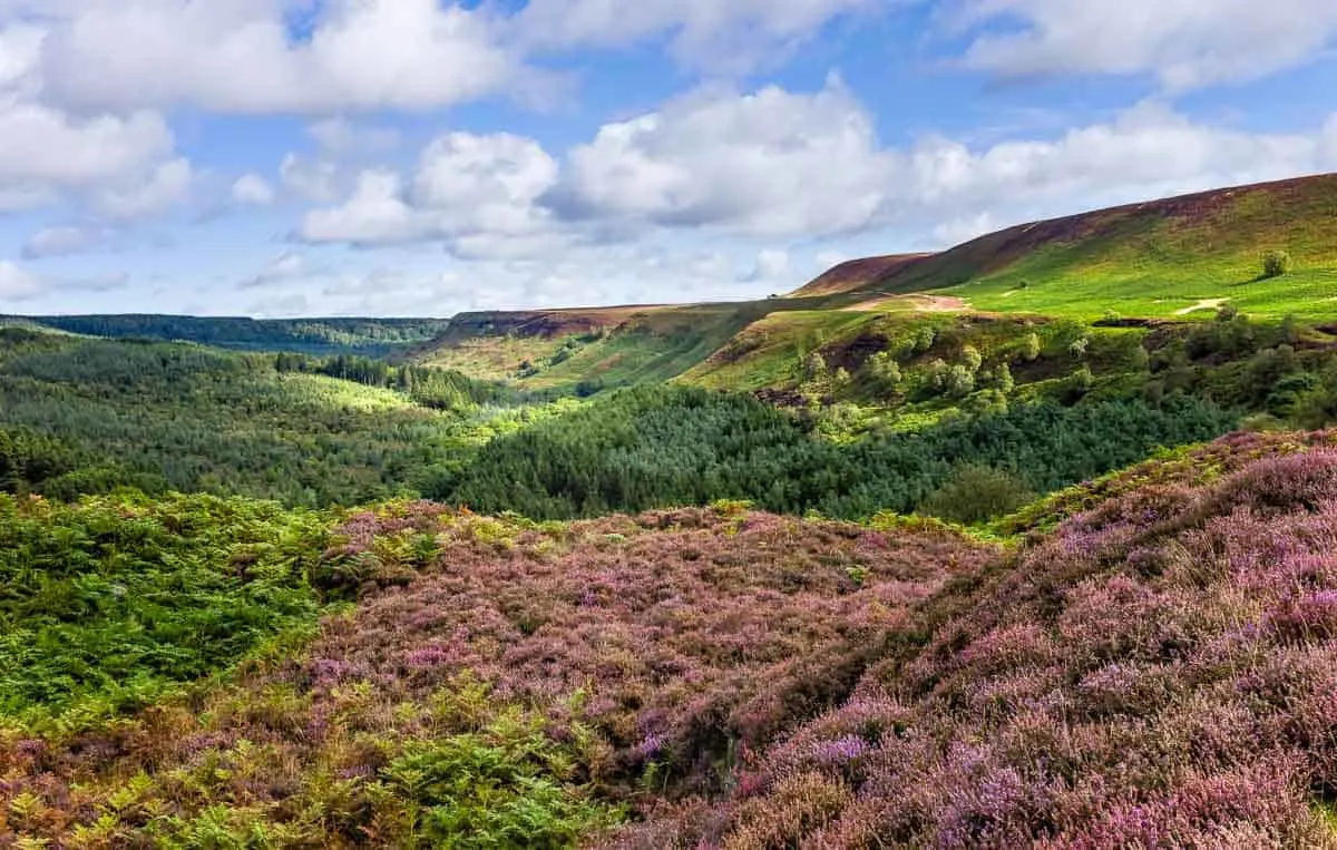 North York Moors National Park