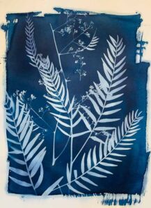 Craft holidays in Spain - making Cyanotypes