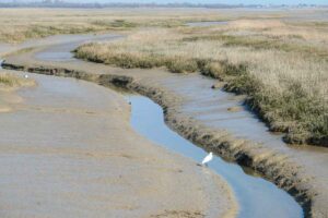 Pagham Harbour Nature Reserve