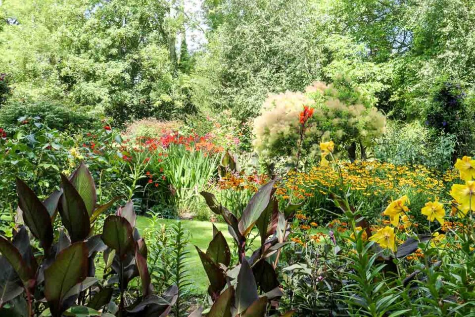 VentnorBotanicGardensIsleofWight The Travelbunny