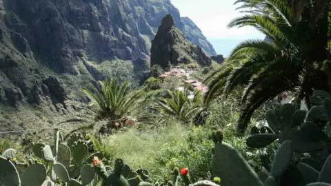 Tenerife North: Discovering Garachico, La Oratava, & Masca