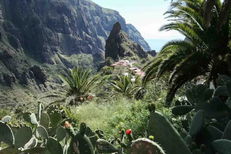 Masca, Tenerife