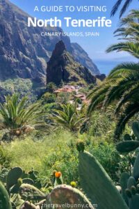 North Tenerife travel guide