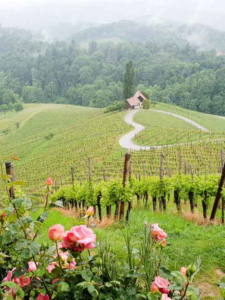 Südsteiermark, Austria the South Styrian Wine Road Cover Image
