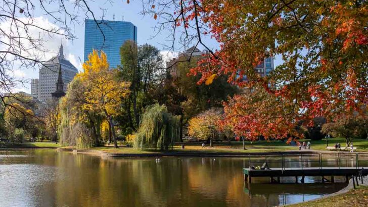 The Best Things to do in Boston in the Fall