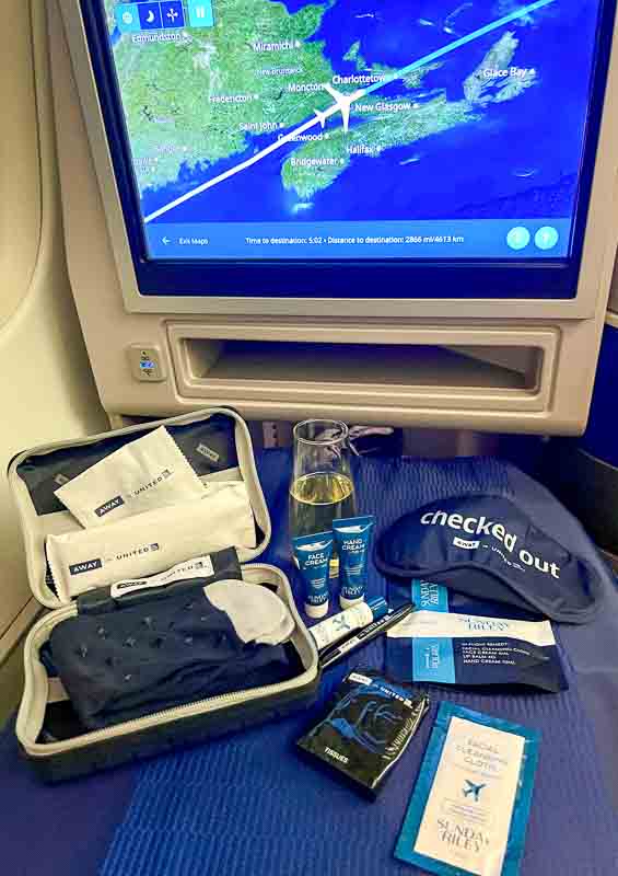 United Airlines Poloris amenities